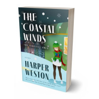 3D view of Jagged Ice #24052 - Premade Teen & Young Adult Book Cover