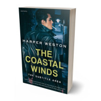 Tablet view of Firefly #24071 - Premade Mystery & Thriller & Suspense Book Cover