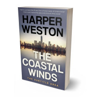 Tablet view of Mid Gray #24073 - Premade Mystery & Thriller & Suspense Book Cover