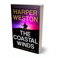 3D view of Premade Fantasy Book Cover - Asphalt