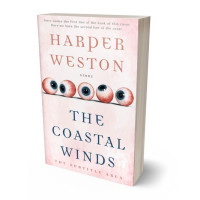 Tablet view of Fantasy #24084 - Premade Abstract Book Cover