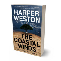 Tablet view of Ebony Clay #24099 - Premade Surreal Book Cover