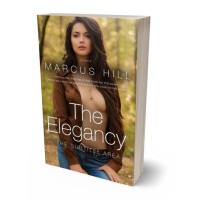 Tablet view of Old Copper #25720 - Premade Erotica Book Cover