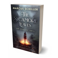 Tablet view of Ship Gray #25782 - Premade Fantasy Book Cover