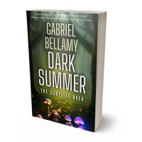 Tablet view of Rangitoto #25845 - Premade Fantasy Book Cover