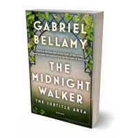 Tablet view of Napa #26036 - Premade Literary Fiction Book Cover