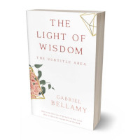 Tablet view of Pot Pourri #26252 - Premade Abstract Book Cover