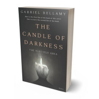 Tablet view of Fuscous Gray #26258 - Premade Abstract Book Cover