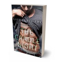 Tablet view of Thunder #26320 - Premade Erotica Book Cover