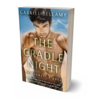 Tablet view of Leather #26322 - Premade Erotica Book Cover