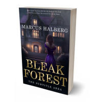 Tablet view of Steel Gray #26765 - Premade Historical Book Cover