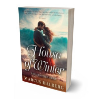 3D view of Masala #26805 - Premade Romance Book Cover