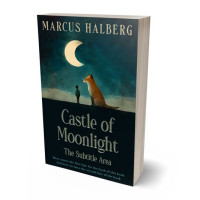 Tablet view of Firefly #26878 - Premade Teen & Young Adult Book Cover