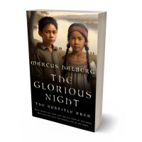 3D view of Tan #26934 - Premade Historical Book Cover