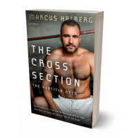 Tablet view of Taupe #27001 - Premade Romance Book Cover