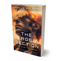 Tablet view of Woody Brown #27018 - Premade Mystery & Thriller & Suspense Book Cover | BookCoverZone