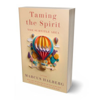 3D view of Brandy #27060 - Premade Fantasy Book Cover