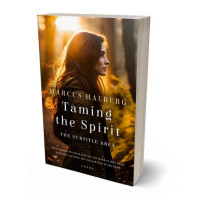 Tablet view of Graphite #27066 - Premade Travel Book Cover