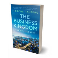 Tablet view of Fun Blue #27167 - Premade Business Book Cover