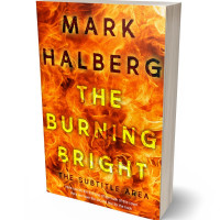 Tablet view of Christine #27293 - Premade Apocalyptica Book Cover