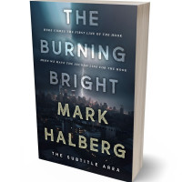 Tablet view of Mirage #27296 - Premade Mystery & Thriller & Suspense Book Cover