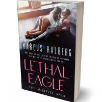 3D view of Thunder #27361 - Premade Erotica Book Cover