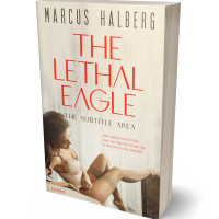 Tablet view of White Rock #27366 - Premade Erotica Book Cover | BookCoverZone