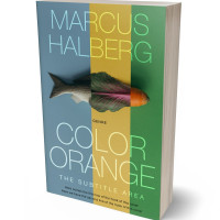 Tablet view of Juniper #27382 - Premade Health & Dieting & Fitness Book Cover