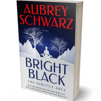 3D view of Premade Religion & Spirituality Book Cover - Iron