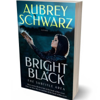 3D view of Coriander #27435 - Premade Paranormal & Urban Book Cover