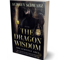 Tablet view of Cinder #27530 - Premade Historical Book Cover | BookCoverZone