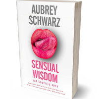 Tablet view of Cabaret #27532 - Premade Erotica Book Cover