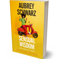 Tablet view of Buttercup #27536 - Premade Travel Book Cover