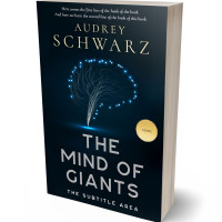 3D view of Black Pearl #27563 - Premade Literary Fiction Book Cover