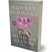 Tablet view of Friar Gray #27571 - Premade Abstract Book Cover