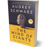 Tablet view of Ronchi #27573 - Premade Abstract Book Cover