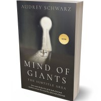 Tablet view of Masala #27574 - Premade Abstract Book Cover | BookCoverZone