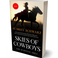 3D view of Premade Western Book Cover - Night Rider