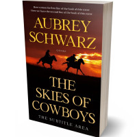 Tablet view of Red Damask #27601 - Premade Action & Adventure Book Cover