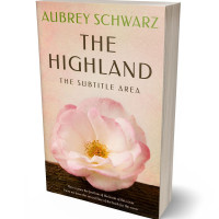 Tablet view of Just Right #27630 - Premade Abstract Book Cover