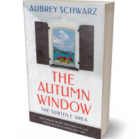 Tablet view of Ship Gray #27634 - Premade Literary Fiction Book Cover