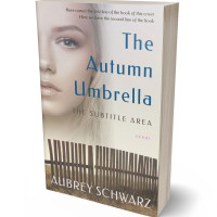 Tablet view of Swirl #27638 - Premade Literary Fiction Book Cover