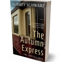 Tablet view of Night Rider #27671 - Premade Travel Book Cover