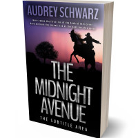 Tablet view of Cinder #27701 - Premade Western Book Cover