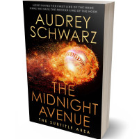 3D view of Premade Sports & Fitness Book Cover - Di Serria