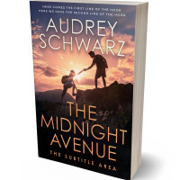 Tablet view of Tonys Pink #27753 - Premade Action & Adventure Book Cover