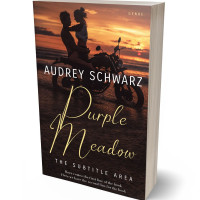 Tablet view of Cocoa Brown #27788 - Premade Romance Book Cover