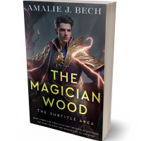 3D view of Baltic Sea #27943 - Premade Fantasy Book Cover