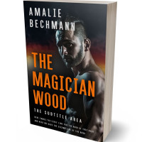 3D view of Di Serria #27948 - Premade Erotica Book Cover