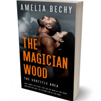 Tablet view of Di Serria #27951 - Premade Erotica Book Cover